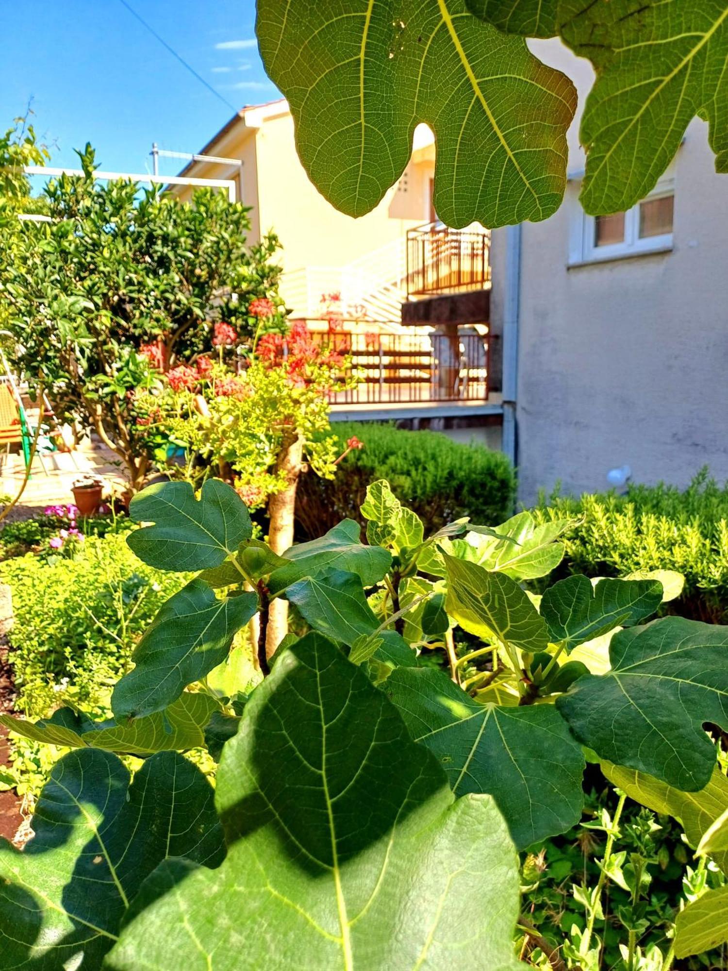 Adria Διαμέρισμα Crikvenica Εξωτερικό φωτογραφία